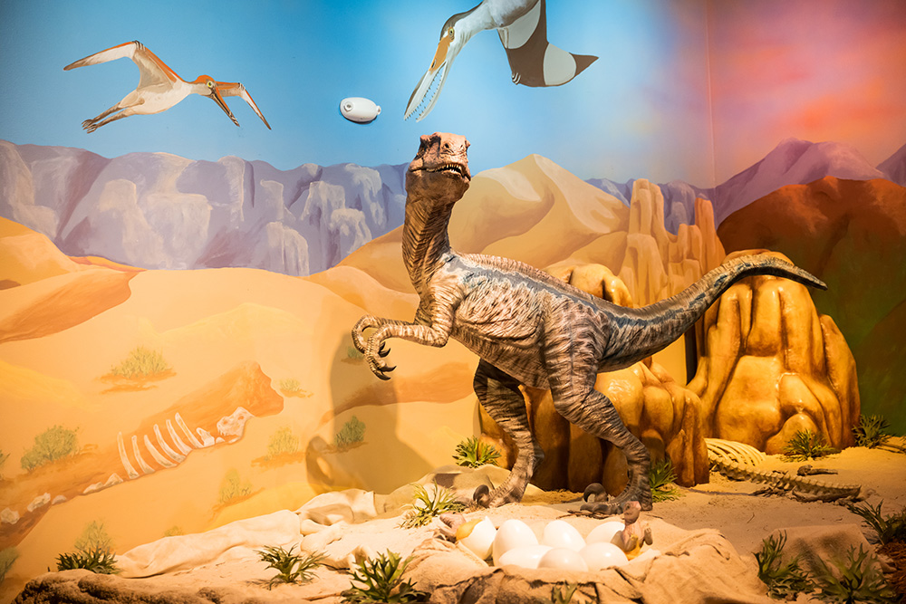 Dinosaur MiChiu 9463