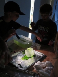 ice balloon 1