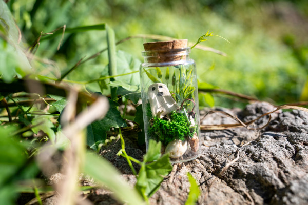 ghost terrarium